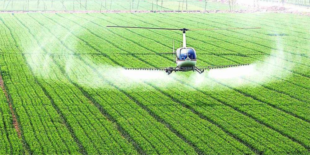 多重政策促进转型 中国明确现代农业“着力点”