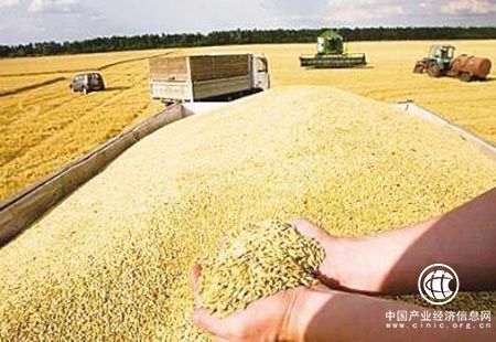 今年粮食有望再获丰收 供给侧结构性改革取得新进展