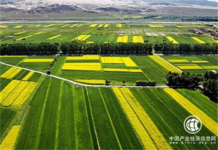 全国耕地保护制度体系已经初步形成