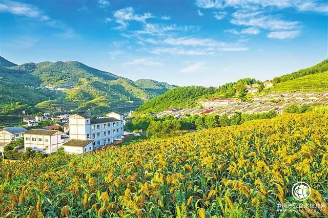 实施乡村振兴战略的三大着力点