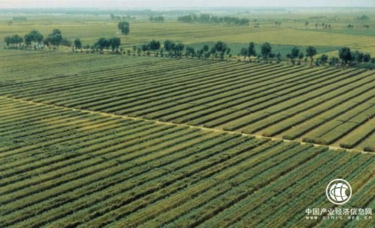全国耕地质量总体稳定 平均质量等别为9.96等