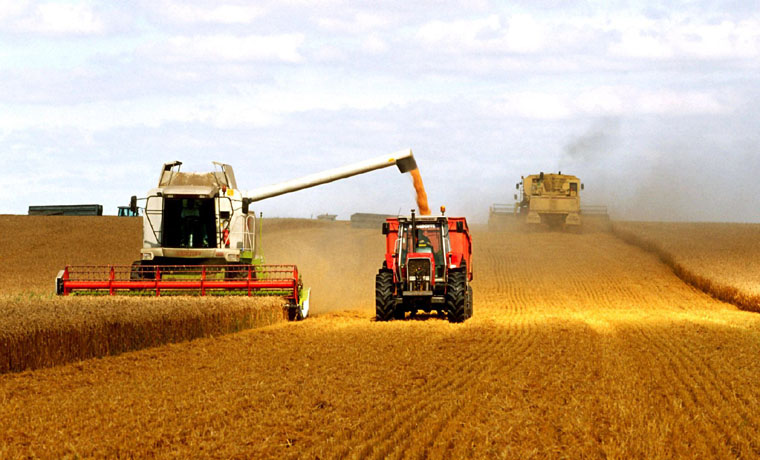 我国由粮食生产大国迈向粮食产业强国