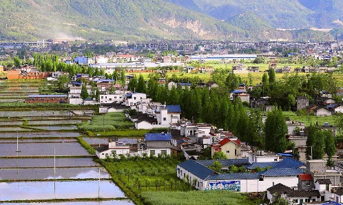 实施乡村振兴战略 推动农业农村优先发展