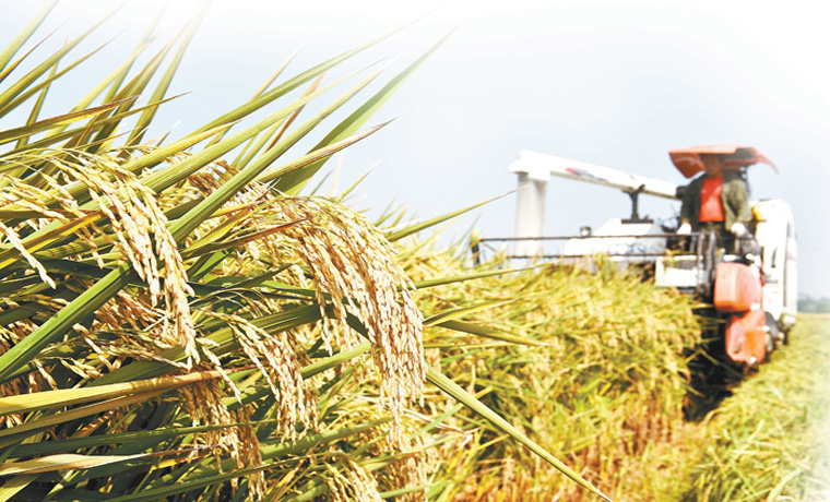 乡村振兴将一手抓“钱”一手抓“地”