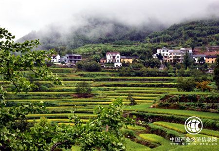 我国2020年有望建成国家生态保护红线监管平台