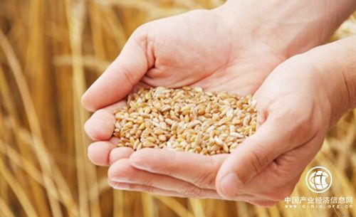 70年 端稳了自己的饭碗