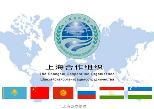 反对贸易保护主义 上合组织自贸区或为愿景