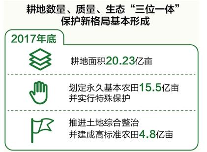 数量、质量、生态协同 耕地保护新格局基本形成