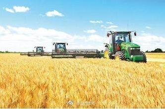 中央一号文件出炉！连续17年聚焦“三农” 