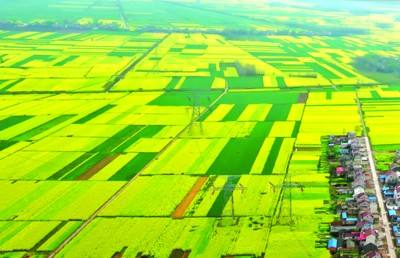 农业科技进步贡献率超60%——农业农村现代化迈上新台阶