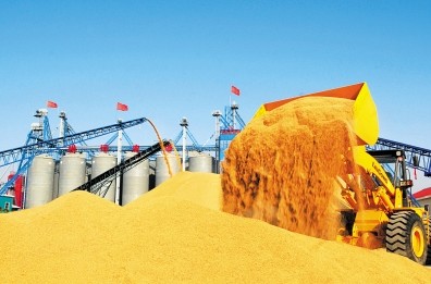 科技底气足 中国饭碗稳