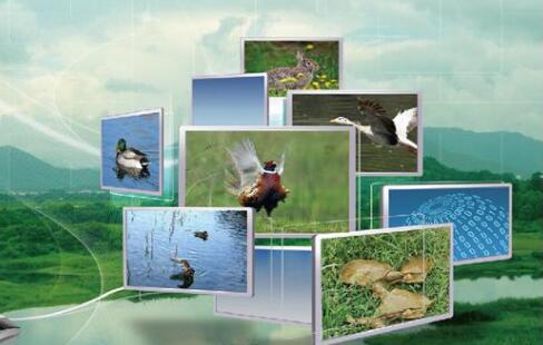 农业农村现代化按下“快进键”