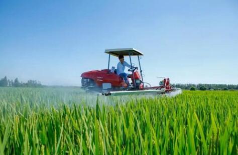 中央财政明确一揽子政策 加大力度支持粮食生产